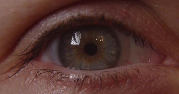 Mujer Open eye macro shot - Metraje, vídeo
