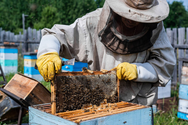 Пчеловод в защитном костюме осматривает свой ряд ульев на пасеке с пчелами, роящимися вокруг него - Фото, изображение