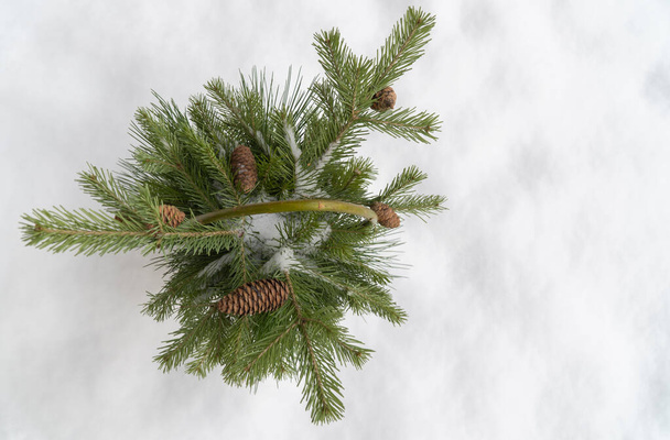 koš z dřevěných tyčí s čerstvými jedlovými větvemi a kužely. selektivní zaměření. koš stojí na přírodním bílém sněhu. dekorace na oslavu nového roku a vánočních svátků. horní pohled, kopírovací prostor - Fotografie, Obrázek