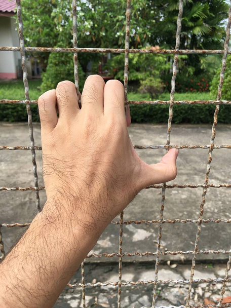 mano con recinzione in metallo, nessuna libertà - Foto, immagini