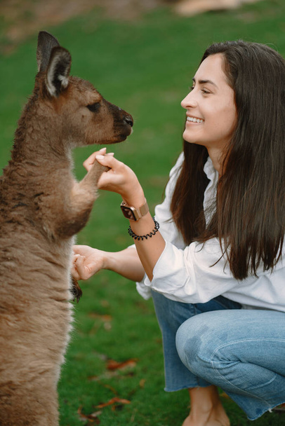 Woman in the reserve is playing with a kangaroo - Zdjęcie, obraz