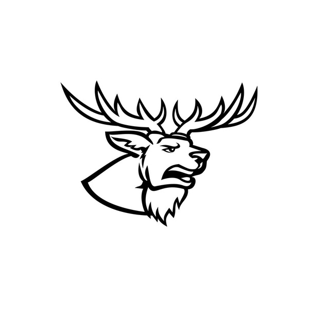 Illustrazione mascotte di testa di cervo Cervus elaphus, una delle specie di cervo più grandi, con corna e ruggito visto da un lato su sfondo isolato in stile retrò bianco e nero. - Vettoriali, immagini