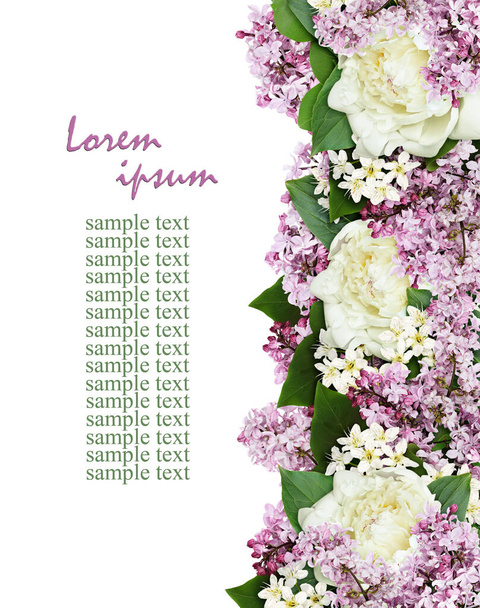 Decorative border from lilac twigs and peony flowers isolated on white - Foto, Imagen