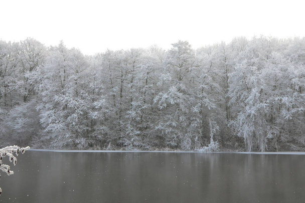 Замороженные деревья над прудом. Мороз на ветвях деревьев, зимнее время, - Фото, изображение