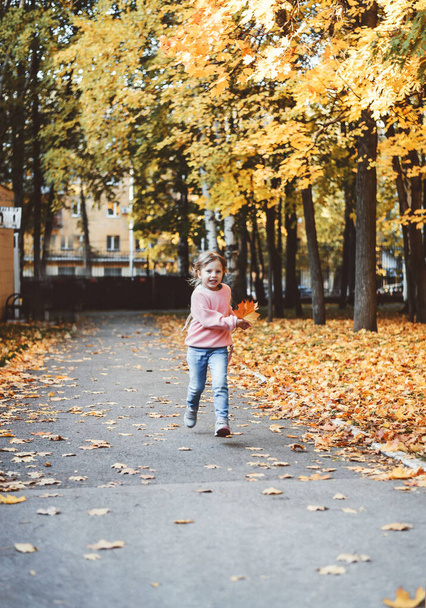 A child plays with leaves in autumn - Valokuva, kuva