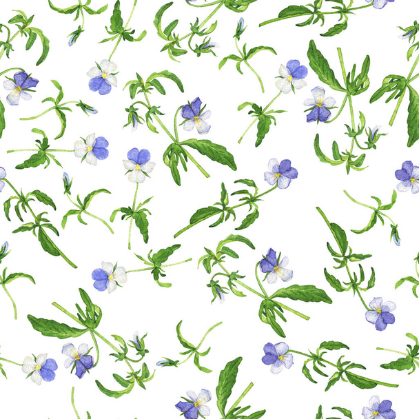 Seamless pattern with blue viola flowers on white background. Hand drawn watercolor illustration. - Фото, изображение