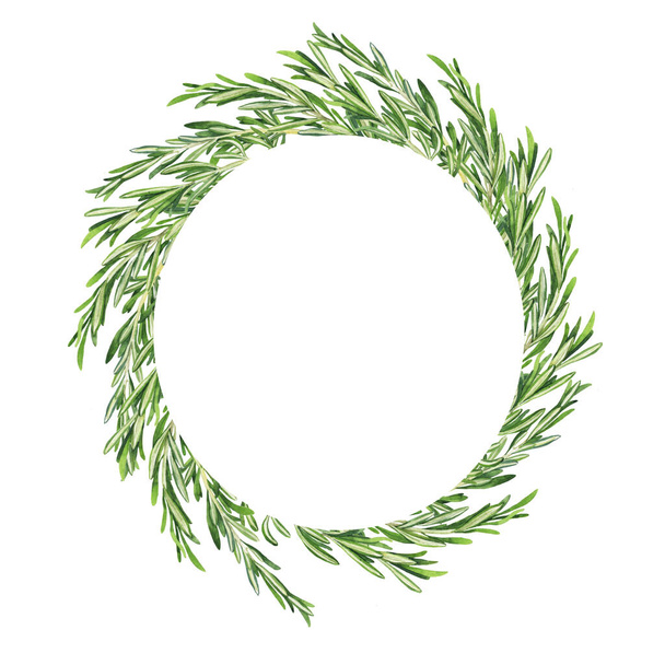 Green fresh rosemary branches round frame on white background. Hand drawn watercolor illustration. - Foto, Imagem