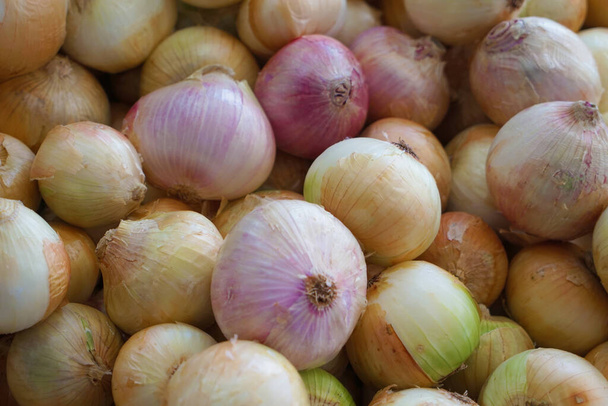 Just onions on farmers market - Photo, image