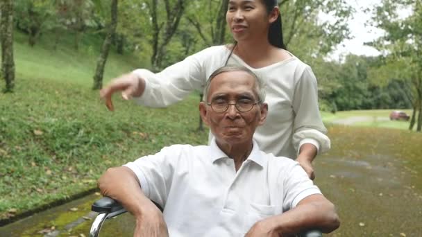 Buon nonno sorridente in sedia a rotelle rilassante e passeggiando con nipote all'aperto al parco. Stile di vita felice famiglia. - Filmati, video