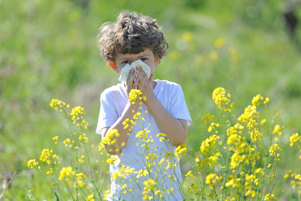 Маленькие европейские кавказские дети страдают аллергией на цветочную пыльцу, у мальчика бегает нос в цветочном поле и вытирает нос салфеткой - Фото, изображение