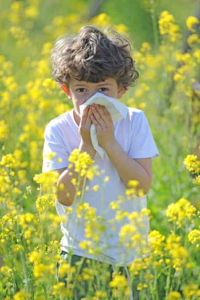I piccoli bambini caucasici europei hanno allergie dal polline dei fiori, il ragazzo ha il naso che cola nel campo dei fiori e si pulisce il naso con la carta velina. - Foto, immagini