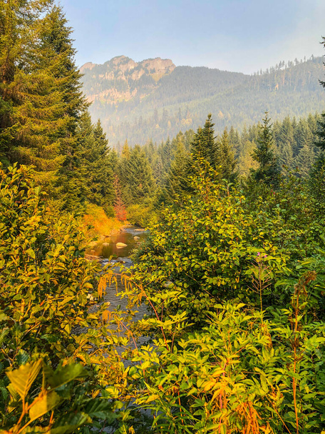 Gold Creek Pond Loop is a 1.2 mile heavily trafficked loop trail located near Snoqualmie Pass, Washington that features a lake and is good for all skill levels. The trail offers a number of activity options and is accessible year-round. Dogs are also - Photo, Image
