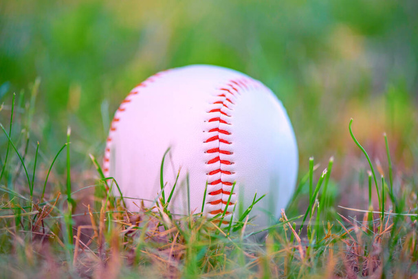 Baseball ball on green grass. Close-up photographed. - Foto, immagini