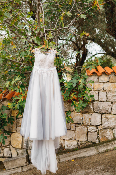 花嫁のグレーのウェディングドレスはイチジクの木にかかっています. - 写真・画像