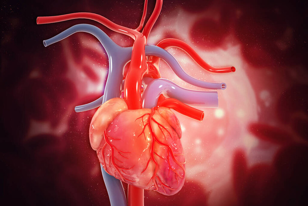 Людське серце на науковій основі
 - Фото, зображення