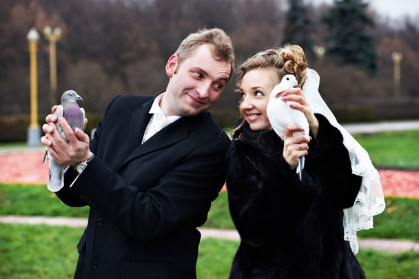 Bride and groom with pigeons on hands - Фото, изображение