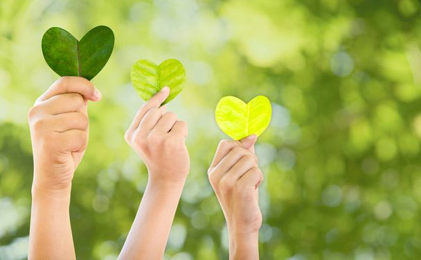 Handen met groene hartvormige boom en bomen planten, van het milieu houden en de natuur beschermen De planten voeden Wereld Milieudag Om de wereld er mooi uit te laten zien, bosbehoud concept. - Foto, afbeelding