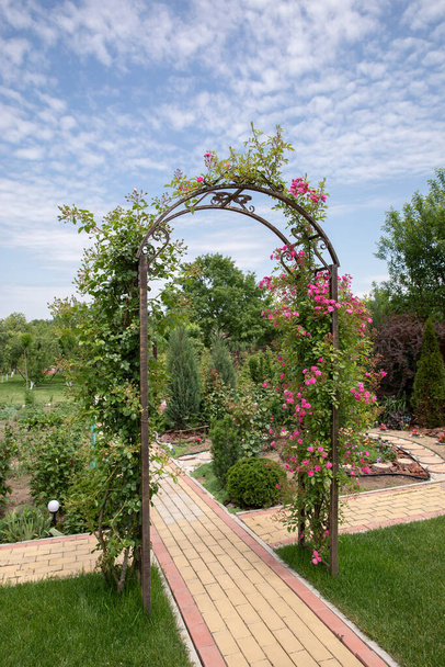 arch. green rose arch in the garden - Photo, Image