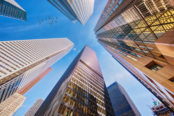 Forgatókönyv Toronto pénzügyi kerület városkép és a modern építészet - Fotó, kép