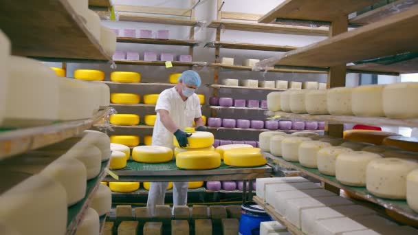 Виробництво сиру. Робітник покриває сир воском. Сирзавод
 - Кадри, відео