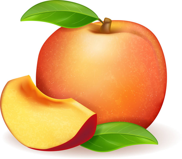 Realistic fresh sweet ripe peach, whole with leaf and slice isolated on white. Vector illustration - Vektor, obrázek
