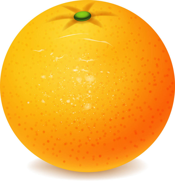 Realistic fresh sweet ripe whole orange fruit isolated on white. Vector illustratio - Wektor, obraz