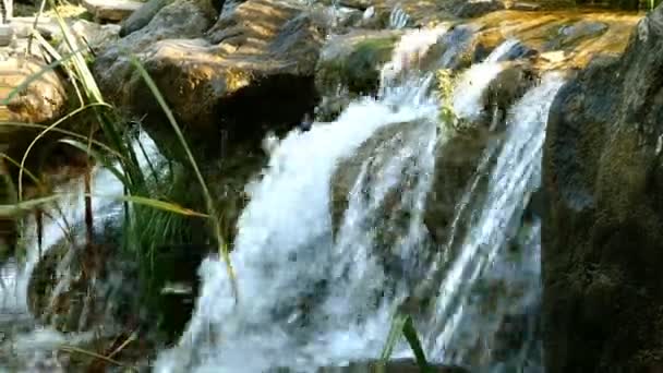 Kleine waterval met sterke stromingen die neerstromen in het prachtige park Mezhyhirya in Novi Petrivtsi in Oekraïne. Selectieve focus. Close-up. - Video