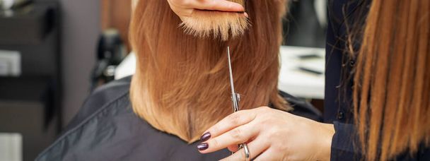 Kampaaja leikkaa punaiset hiukset vinkkejä pitämällä lukko punaiset hiukset sormien välillä kauneushoitola. Eroon split päättyy - Valokuva, kuva