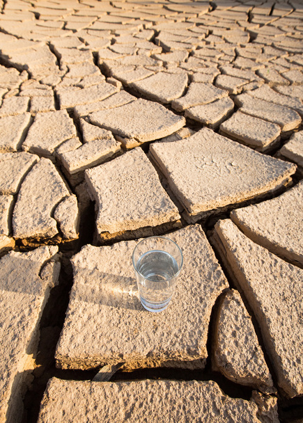 Glass on  Parched Soil - Photo, Image