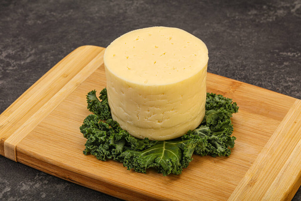 Peça de queijo macio leiteiro redondo amarelo - Foto, Imagem