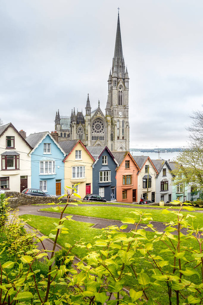 Kathedraal en gekleurde huizen in Cobh, Ierland - Foto, afbeelding