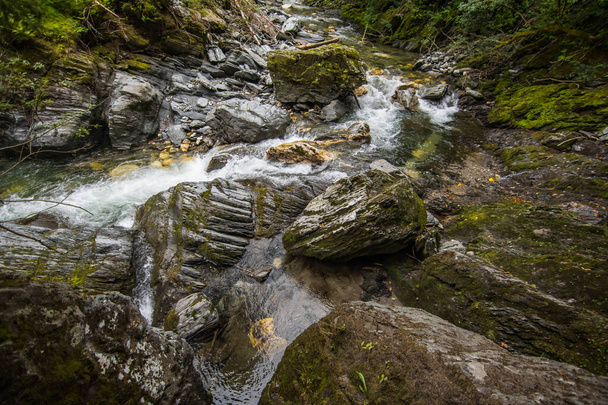 rocas grandes en un torrente montañoso apresurado mientras camina - Foto, Imagen