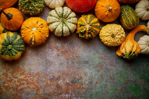 Different kinds colorful mini pumpkins placed on rusty background - Photo, Image