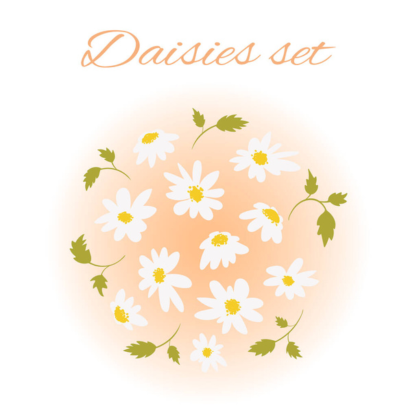 Hand drawn chamomile set. Collection of summer flowers with inflorescences and leaves of daisies in delicate shades.Floral botanical vector illustration. Isolated - Вектор, зображення