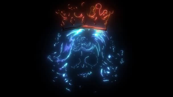 Female skull with a crown and long hair. Queen of death video - Footage, Video