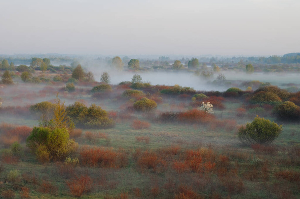 brouillard matinal dans la plaine inondable Biélorussie, la ville VETKA, plaine inondable Sozh 2015 - Photo, image