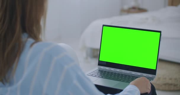 Νεαρή γυναίκα στο σπίτι εργάζεται σε έναν φορητό υπολογιστή με πράσινη οθόνη mock-up. Κάθεται σε έναν καναπέ στο άνετο σαλόνι του. Πάνω από τη λήψη της κάμερας ώμου - Πλάνα, βίντεο