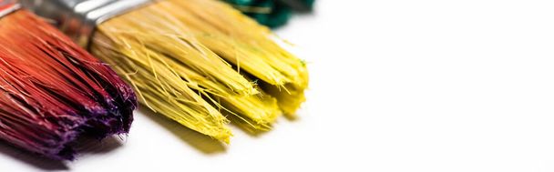 close up view of dirty paintbrushes on white background, panoramic shot - Фото, изображение