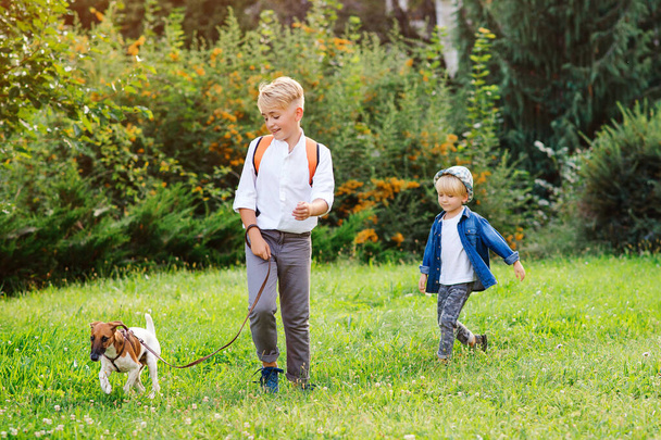 公園を犬が歩く子供たち。家族、友情、動物、ライフスタイル。屋外でジャック・ラッセル・テリア・ドッグを持つ子供たち。ハッピー男の子遊び犬で緑の草. - 写真・画像