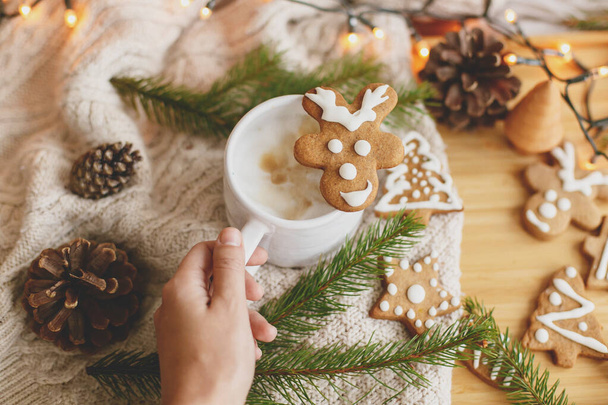 Χέρι κρατώντας ζεστό καφέ με χριστουγεννιάτικο τάρανδο μπισκότο μελόψωμο στο παρασκήνιο του άνετο πλεκτό πουλόβερ. Γεια σου χειμώνα. Καλά Χριστούγεννα και καλές γιορτές.! - Φωτογραφία, εικόνα