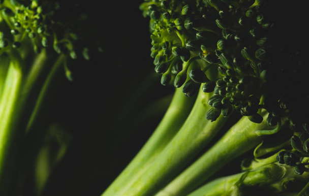 Organic Broccoli Macro close up, selective focus - Foto, immagini