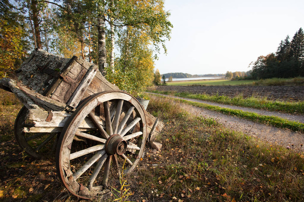 Herfstlandschap, oude kar langs de weg Finland, Scandinavië - Foto, afbeelding