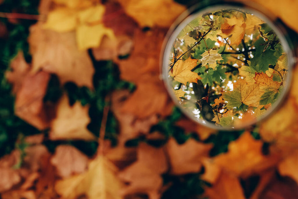 Барвистий помаранчевий фон осіннього листя і кругле дзеркало
 - Фото, зображення