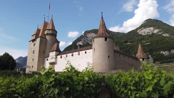 Schloss Aigle und terrassenförmige Weinberge - Filmmaterial, Video