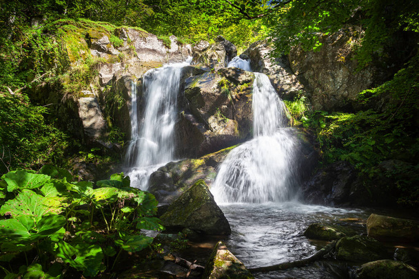 Scénický dvojitý vodopád v lesích nad obcí Senokos v Srbsku, Stará hora, obklopená živě zelenými rostlinami a ozářená sluncem - Fotografie, Obrázek