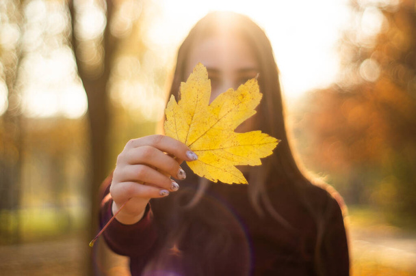 Mädchen mit gelbem Blatt in der Hand. Schöne Herbst-Modell mit wehendem Glühen Haar. - Foto, Bild