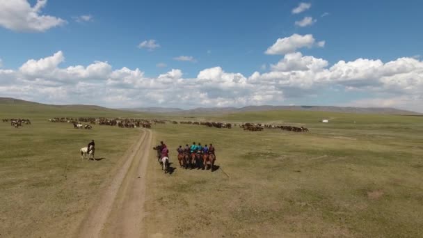 Moğolistan 'da dört nala koşan at sürüsü. Hava görünümü - Video, Çekim
