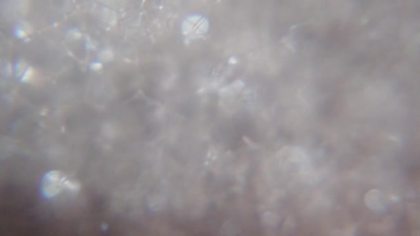 Jabón espuma emergente burbujas macro disparo - Imágenes, Vídeo