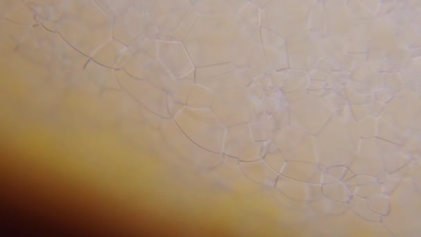 Schiuma di sapone scoppiettante bolle macro shot - Filmati, video