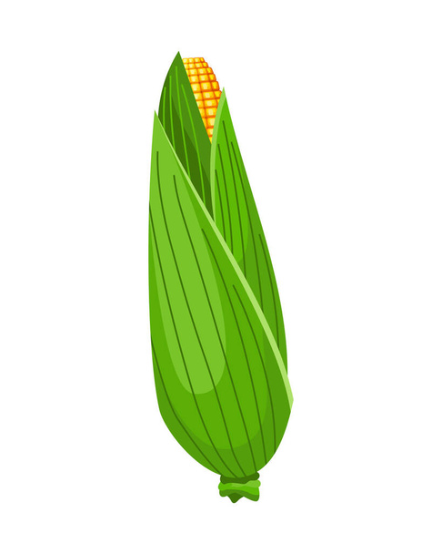 コーンだ。孤立した熟したトウモロコシの耳。緑の葉を持つ黄色のトウモロコシの穂軸。夏の農業デザイン要素。トウモロコシの甘い束 - ベクター画像
